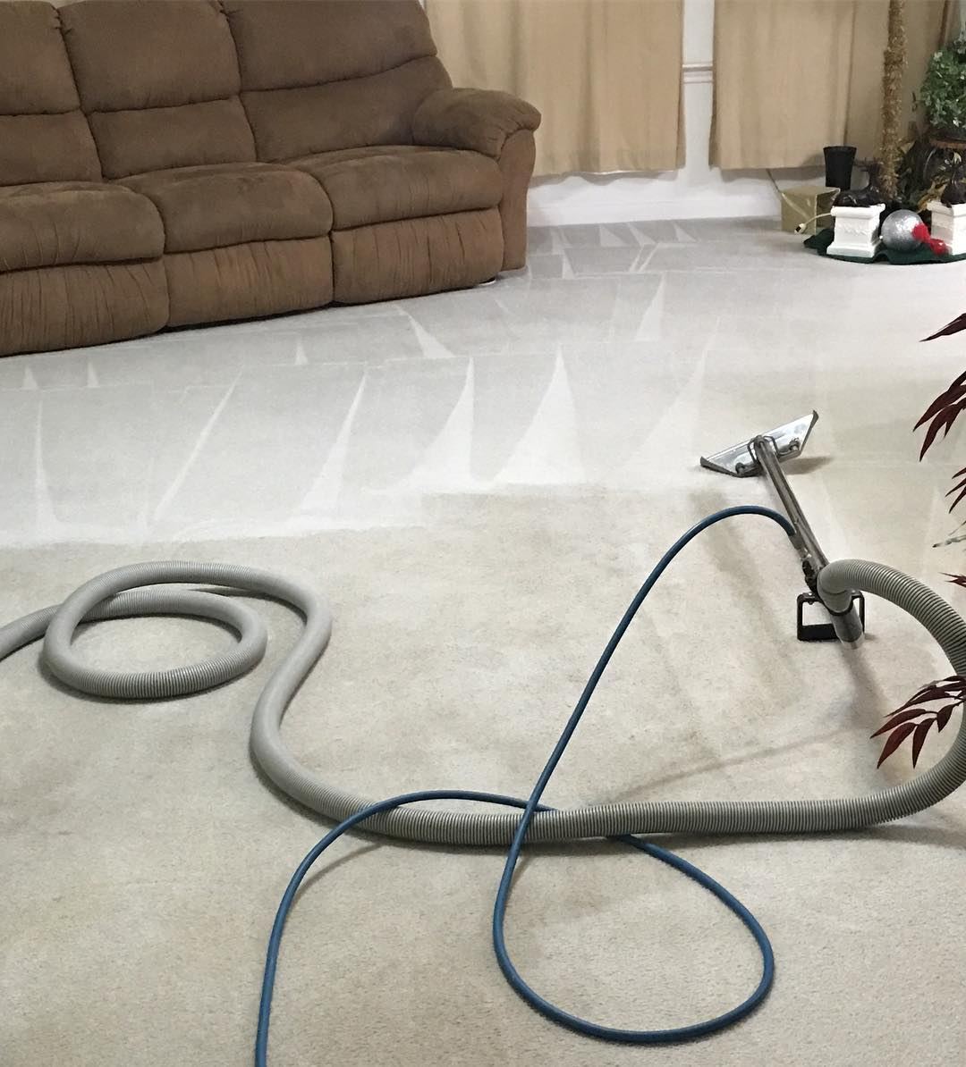Carpet Cleaning